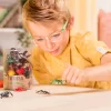 INSECT WORLD - Image 3