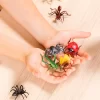 INSECT WORLD - Image 4