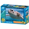SEA TURTLE 63PC