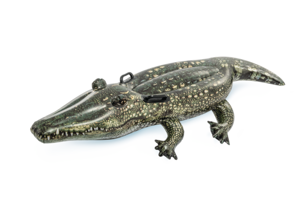 REALISTIC GATOR RIDE-ON, Ages 3+ - Image 3