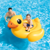 BABY DUCK RIDE-ON - Image 2