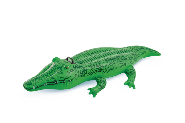 GATOR RIDE ON - Image 3