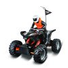 ROCK CRAWLER - Image 3