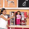 PET VET CLINIC - Image 10
