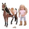 BUCKSKIN HORSE - Image 5