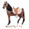 BUCKSKIN HORSE - Image 8