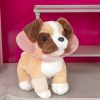 OG PET VET CLINIC - Image 3